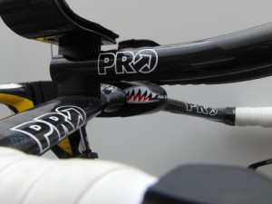 Columbia Team Plasma with angry level stem